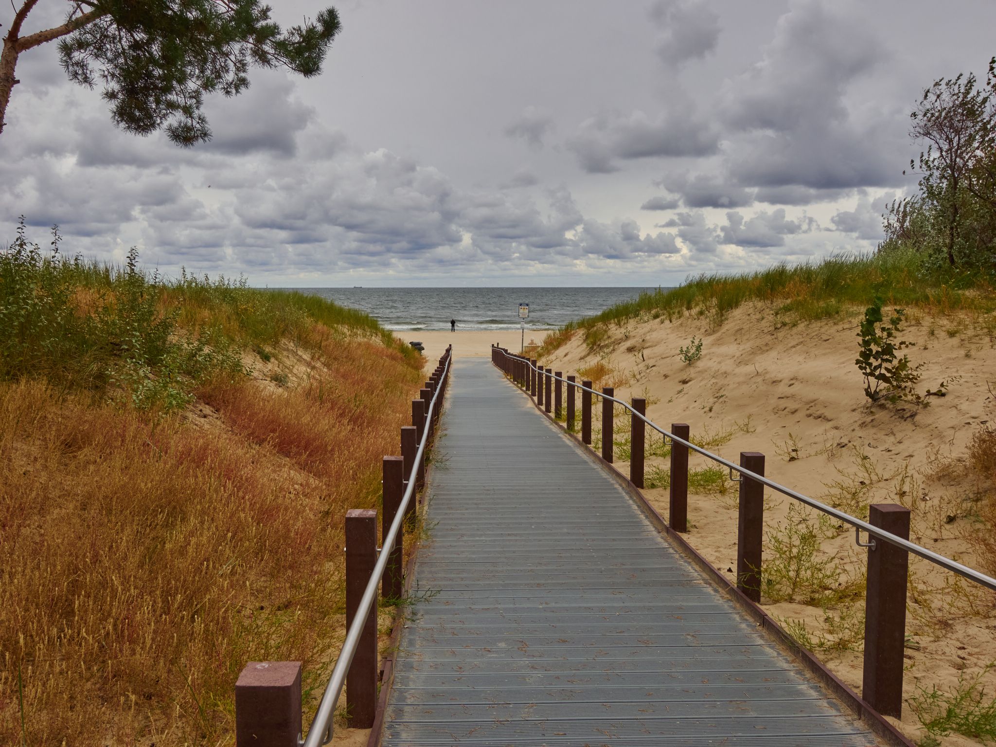 Landschaft 2024  1757 Usedom